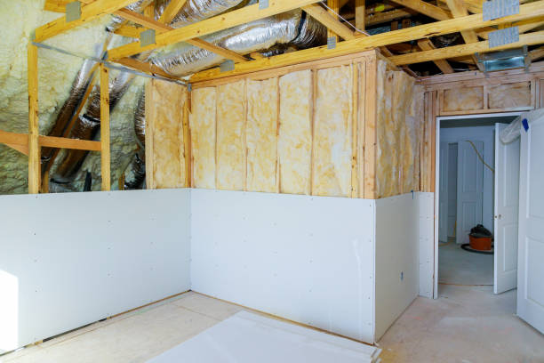 Best Geographic-Specific Insulation Services in Delta, CO