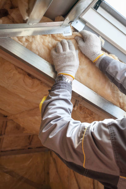 Best Commercial Insulation in Delta, CO