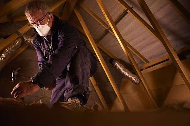 Best Cellulose Insulation in Delta, CO
